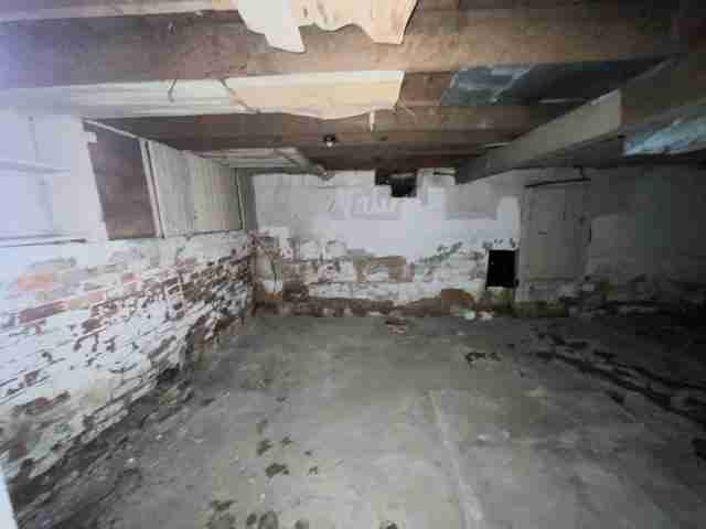 17257 bloom (49).jpg